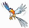 profil boursier de Squale974