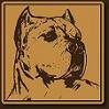 profil boursier de Explose