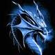 profil boursier de Dragon-x1